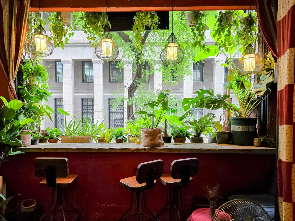 Khung cửa nhiều cây xanh và đèn lồng bên trong Whisfee Café